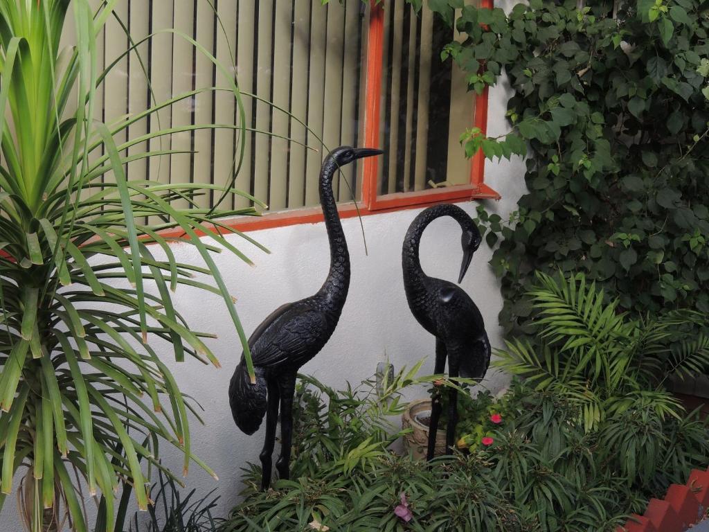 Casa Larrea Inn Palm Desert Kültér fotó